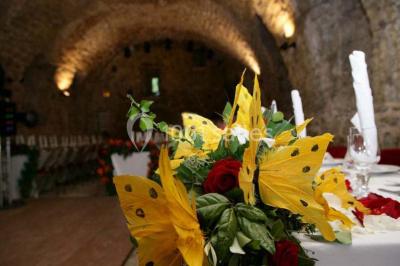 Location salle Dio-et-Valquières (Hérault) - Château de Dio #24