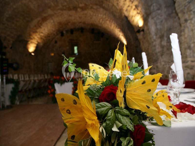 Location salle Dio-et-Valquières (Hérault) - Château de Dio #18