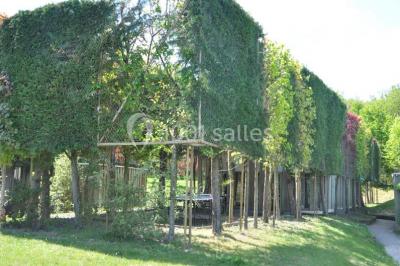 Miniature Location salle Jupilles (Sarthe) - Les Tropes #2 Location salle Jupilles (Sarthe) - Les Tropes #8