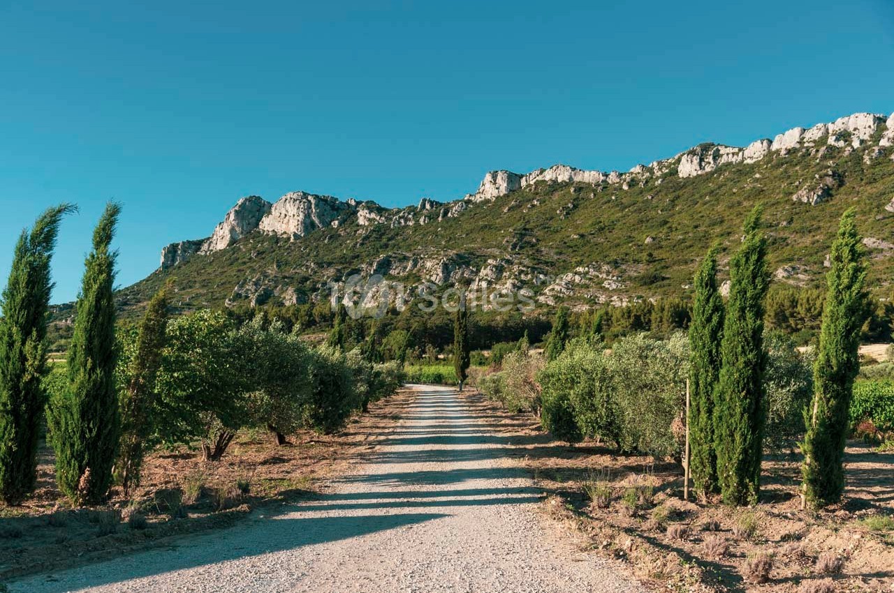 Domaine du Vallon des Glauges - galerie - photo 24