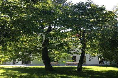 Miniature Location salle Toulouse (Haute-Garonne) - Meeting Business Center #9 Location salle Toulouse (Haute-Garonne) - Meeting Business Center #11