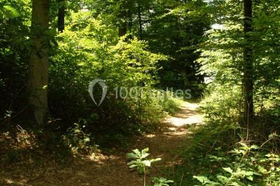 Deux roulottes rouges avec portes vertes, posées sur un terrain herbeux devant des arbres en automne.