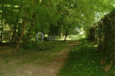 Deux roulottes rouges avec portes vertes, posées sur un terrain herbeux devant des arbres en automne.