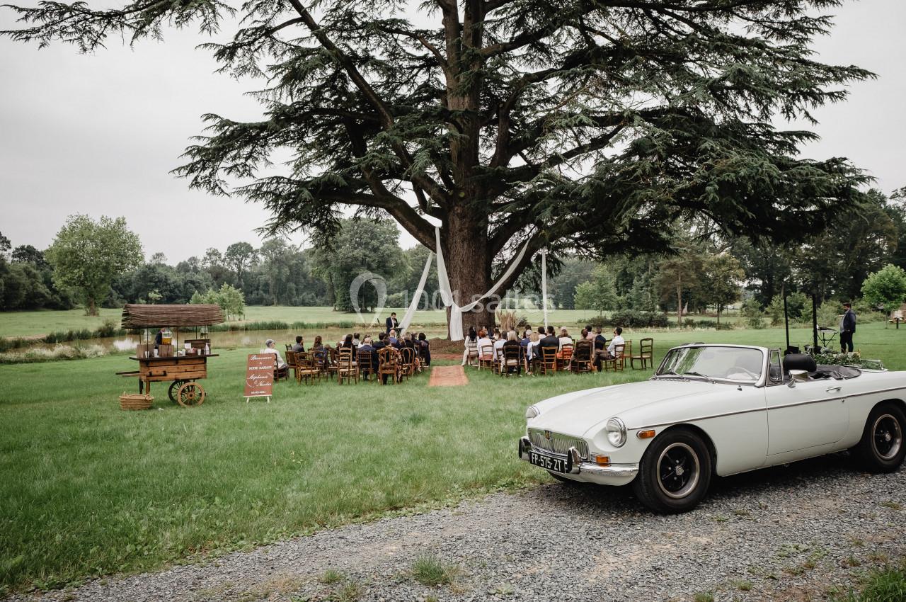 Cérémonie en plein air sous un grand arbre, avec des invités assis et une voiture ancienne blanche au premier plan.