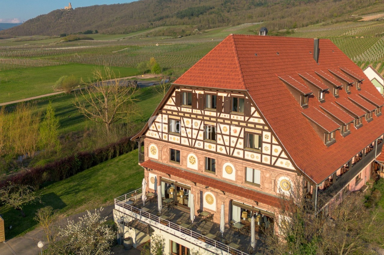 Bâtiment à colombages avec toit rouge entouré de verdure et vignobles, sous un ciel dégagé.