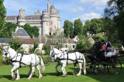 Domaine Des Thermes - photo 4