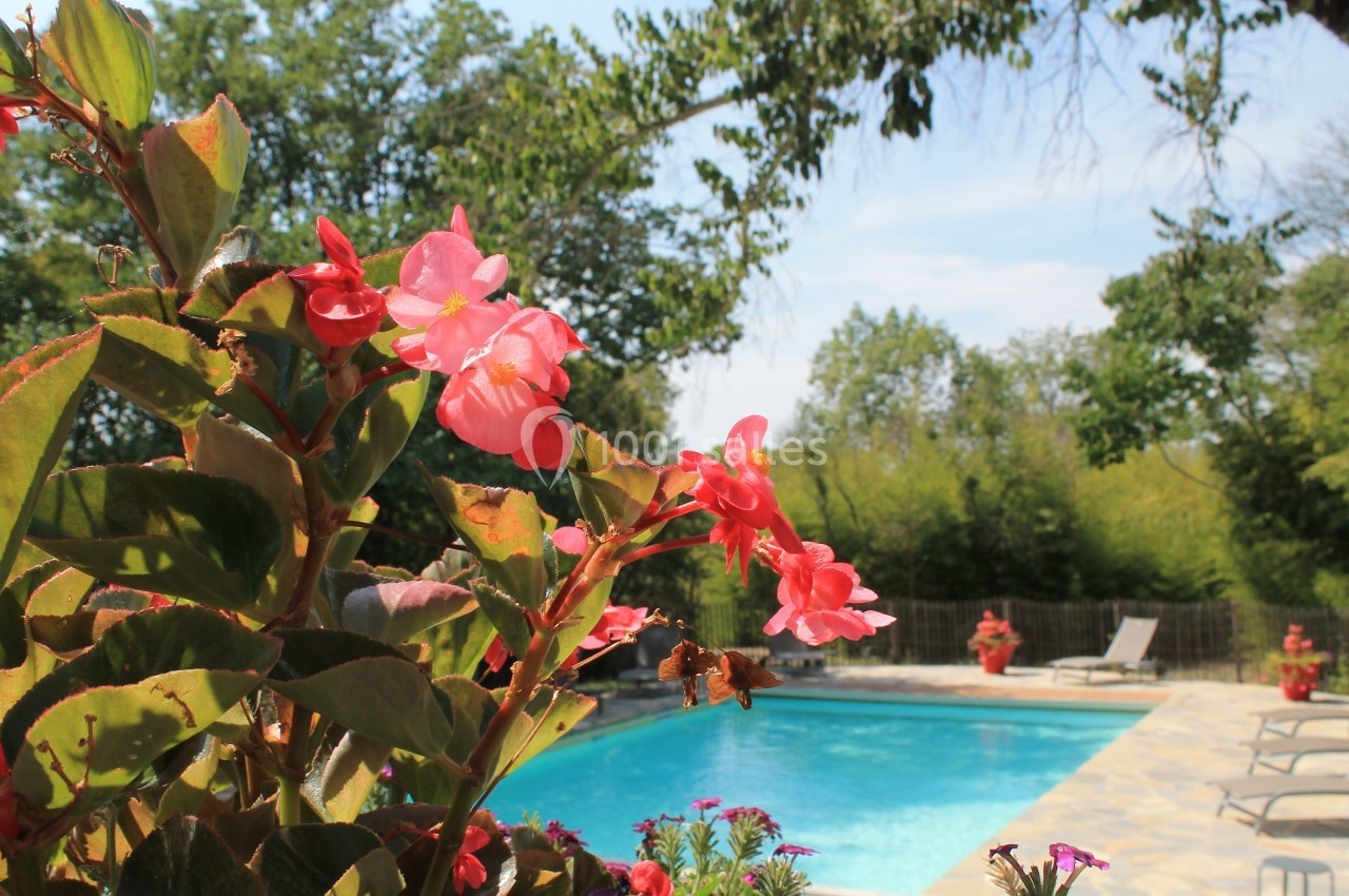 Domaine De Ceyrac - galerie - photo 11