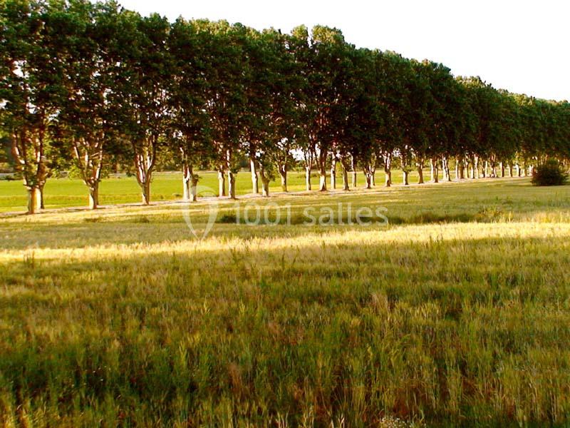 Domaine De Ceyrac - galerie - photo 7