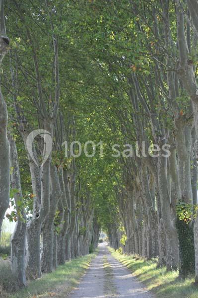 Domaine De Ceyrac - galerie - photo 8