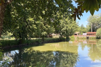 Le Vieux Moulin - photo 3