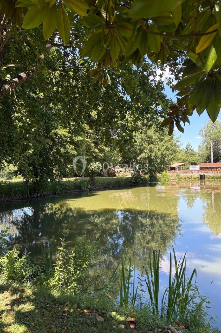 Le Vieux Moulin - galerie - photo 3