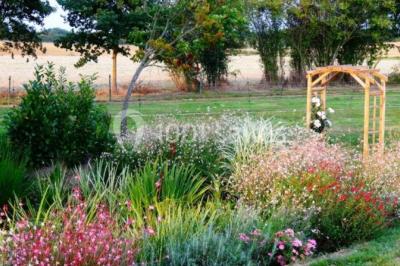 Tente rouge et blanche abritant des tables dressées avec nappes et décorations pour un repas en extérieur.