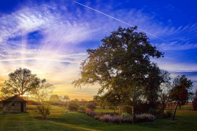 Tente rouge et blanche abritant des tables dressées avec nappes et décorations pour un repas en extérieur.