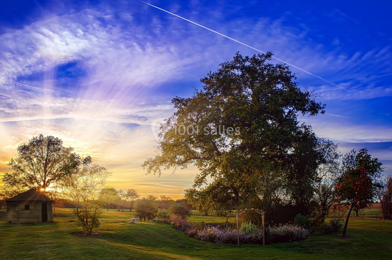 Paysage champêtre au coucher du soleil avec un cabanon, des arbres et un ciel coloré traversé par une traînée d'avion.