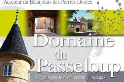 Domaine du Passeloup - photo 3
