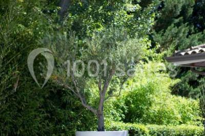 Miniature Location salle Génébrières (Tarn-et-Garonne) - Domaine Du Longchamps #12 Location salle Génébrières (Tarn-et-Garonne) - Domaine Du Longchamps #17