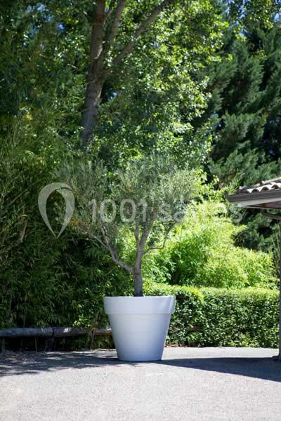 Domaine du Longchamps - galerie - photo 12