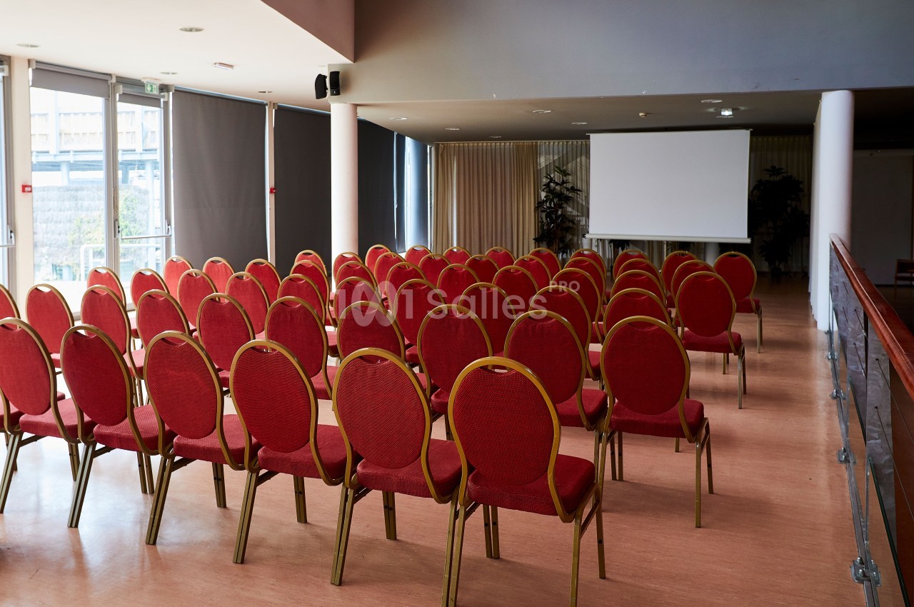 Salle des Cigognes - Steeve Josch