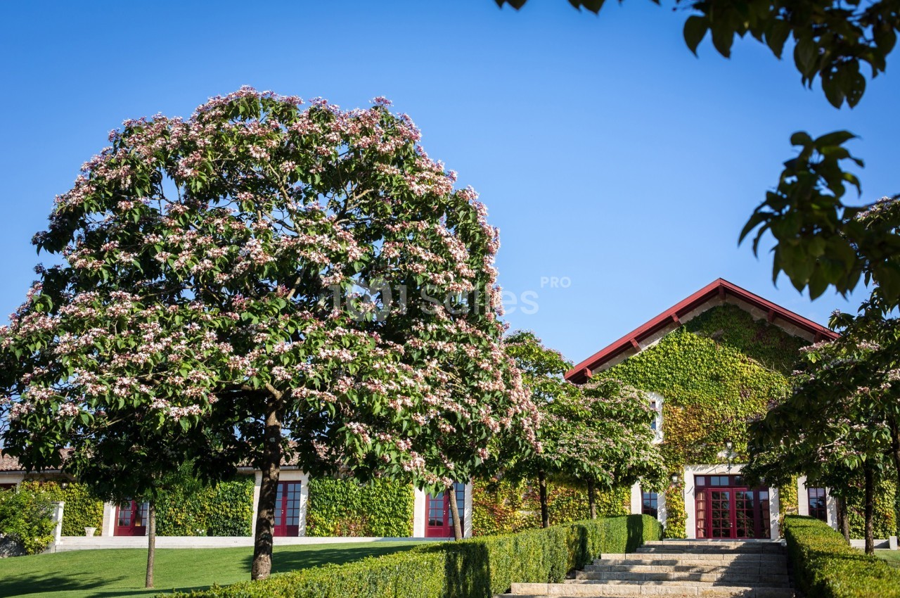 Château Malartic-Lagravière - galerie - photo 16