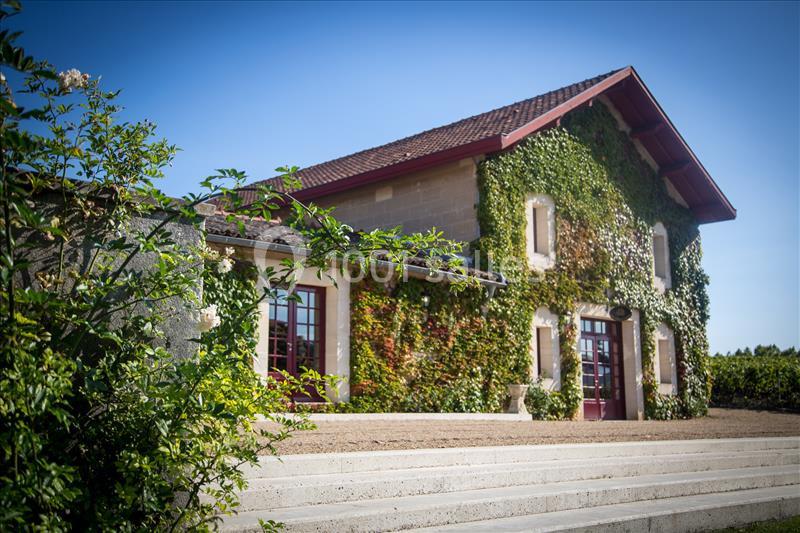 Château Malartic-Lagravière - galerie - photo 15