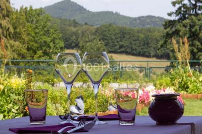Les Violettes Hôtel et Spa - photo 3