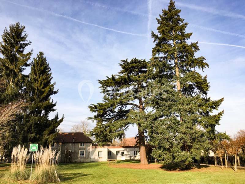 Le Rocheton - galerie - photo 12