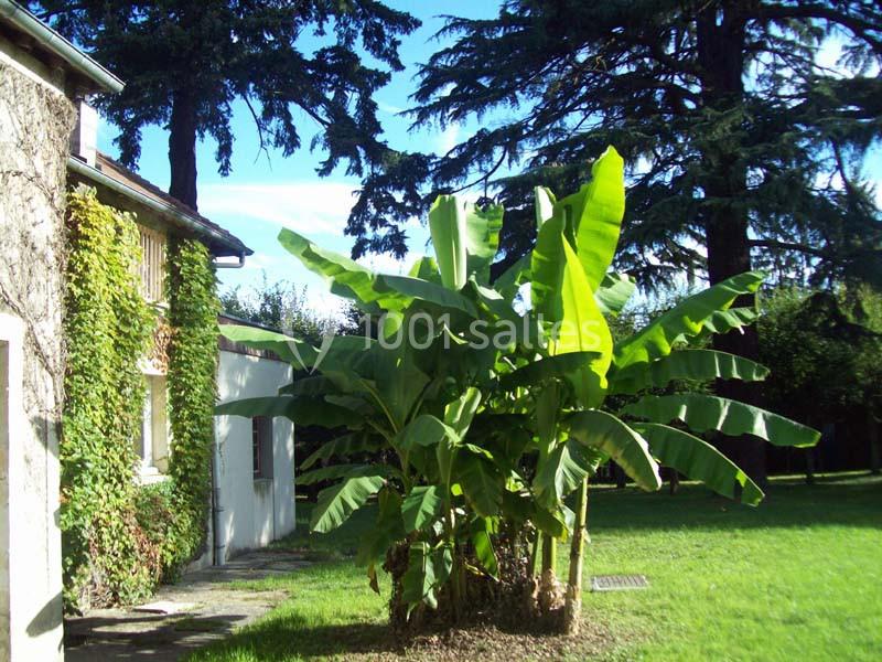 Le Rocheton - galerie - photo 11