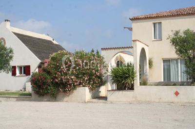 Miniature Location salle Aigues-Mortes (Gard) - Domaine De La Tour #5 Location salle Aigues-Mortes (Gard) - Domaine De La Tour #10