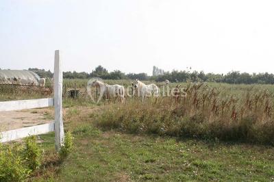 Miniature Location salle Aigues-Mortes (Gard) - Domaine De La Tour #8 Location salle Aigues-Mortes (Gard) - Domaine De La Tour #10