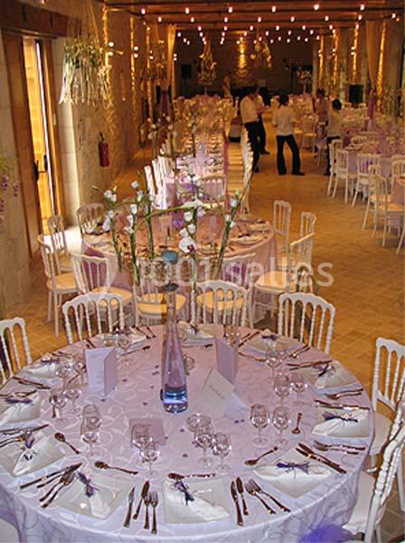 Domaine Tour Des Chênes - galerie - photo 6