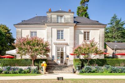 Miniature Location salle Nantes (Loire-Atlantique) - Manoir de Procé #2 Plantes d'intérieur variées dans des pots en verre et en métal doré, disposées sur une cheminée en marbre noir.