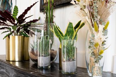 Miniature Location salle Nantes (Loire-Atlantique) - Manoir de Procé #16 Plantes d'intérieur variées dans des pots en verre et en métal doré, disposées sur une cheminée en marbre noir.