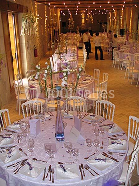 Domaine Tour Des Chênes - galerie - photo 6