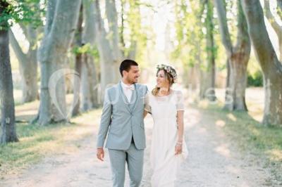 Chaises transparentes disposées en rangées sur une allée blanche, entourées d'arbres dans un cadre extérieur.