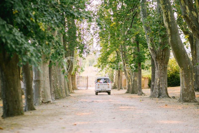 Une voiture ancienne blanche roule sur un chemin bordé d'arbres dans un cadre champêtre.