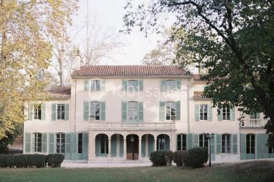 Chaises transparentes disposées en rangées sur une allée blanche, entourées d'arbres dans un cadre extérieur.