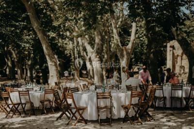 Chaises transparentes disposées en rangées sur une allée blanche, entourées d'arbres dans un cadre extérieur.