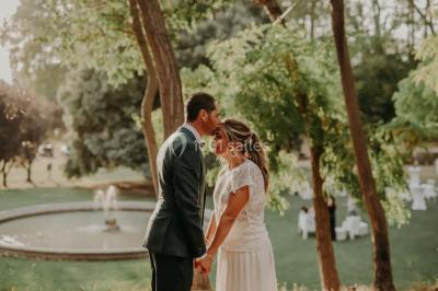 Chaises transparentes disposées en rangées sur une allée blanche, entourées d'arbres dans un cadre extérieur.