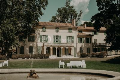 Chaises transparentes disposées en rangées sur une allée blanche, entourées d'arbres dans un cadre extérieur.