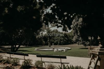 Chaises transparentes disposées en rangées sur une allée blanche, entourées d'arbres dans un cadre extérieur.