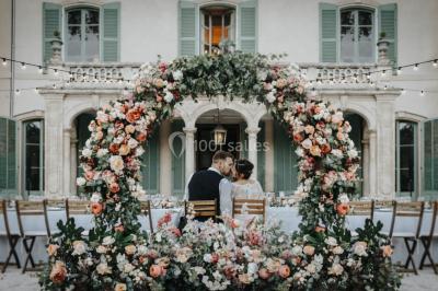 Chaises transparentes disposées en rangées sur une allée blanche, entourées d'arbres dans un cadre extérieur.