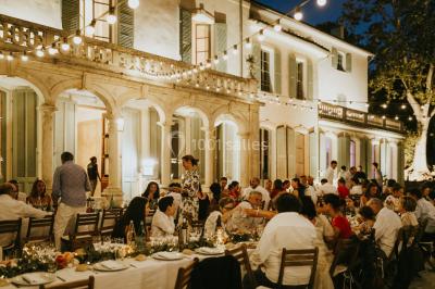 Chaises transparentes disposées en rangées sur une allée blanche, entourées d'arbres dans un cadre extérieur.