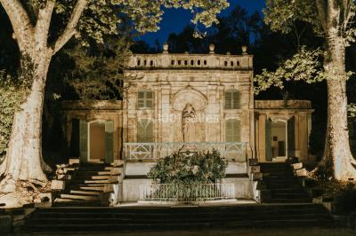 Chaises transparentes disposées en rangées sur une allée blanche, entourées d'arbres dans un cadre extérieur.
