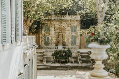 Chaises transparentes disposées en rangées sur une allée blanche, entourées d'arbres dans un cadre extérieur.