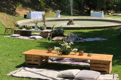 Chaises transparentes disposées en rangées sur une allée blanche, entourées d'arbres dans un cadre extérieur.