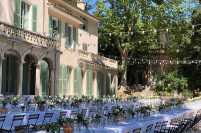 Chaises transparentes disposées en rangées sur une allée blanche, entourées d'arbres dans un cadre extérieur.