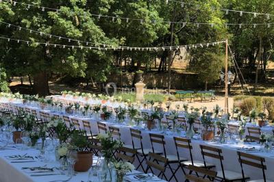 Chaises transparentes disposées en rangées sur une allée blanche, entourées d'arbres dans un cadre extérieur.