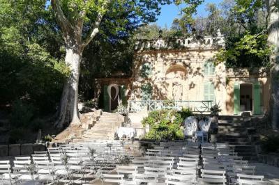 Chaises transparentes disposées en rangées sur une allée blanche, entourées d'arbres dans un cadre extérieur.
