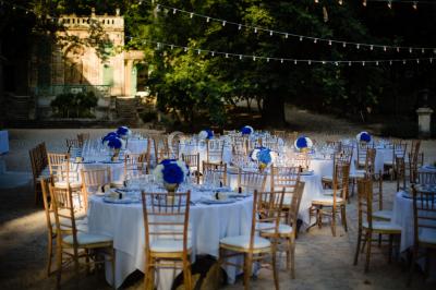 Chaises transparentes disposées en rangées sur une allée blanche, entourées d'arbres dans un cadre extérieur.