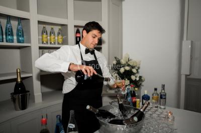 Chaises transparentes disposées en rangées sur une allée blanche, entourées d'arbres dans un cadre extérieur.